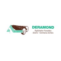 logo-Deramond